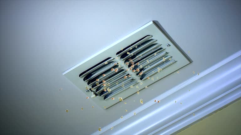 Best Air Duct Sanitizing Services  in Glenwood, IA