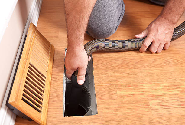 Best Air Duct Mold Removal  in Glenwood, IA